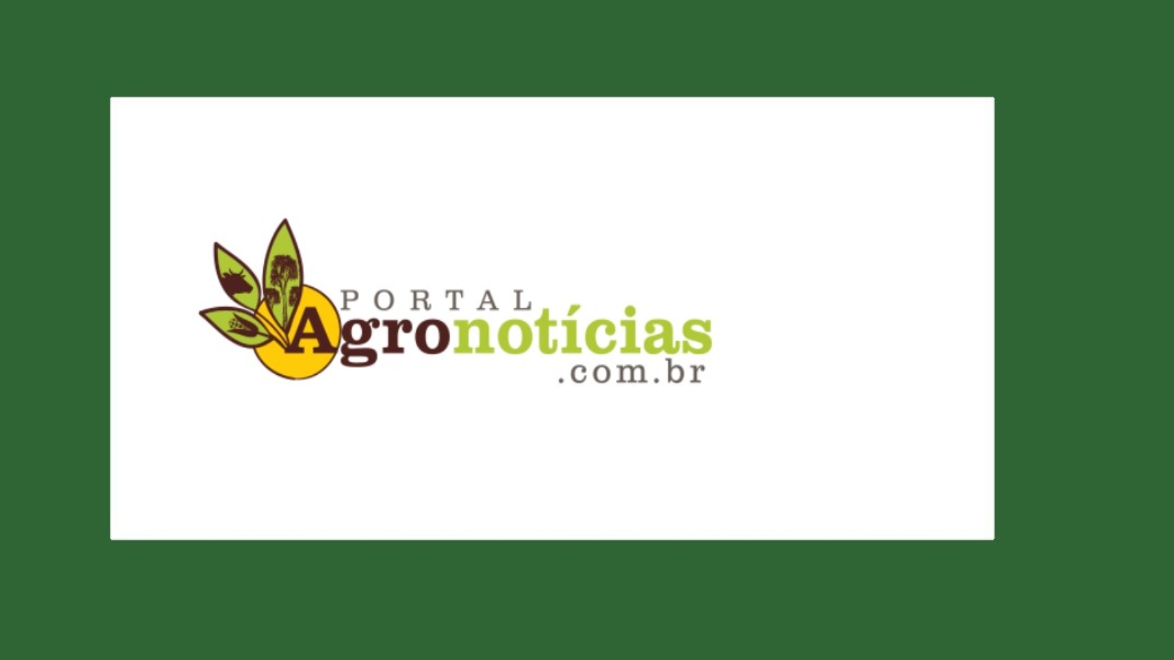 portal-agronoticias-mahogany-roraima-iplant-forest