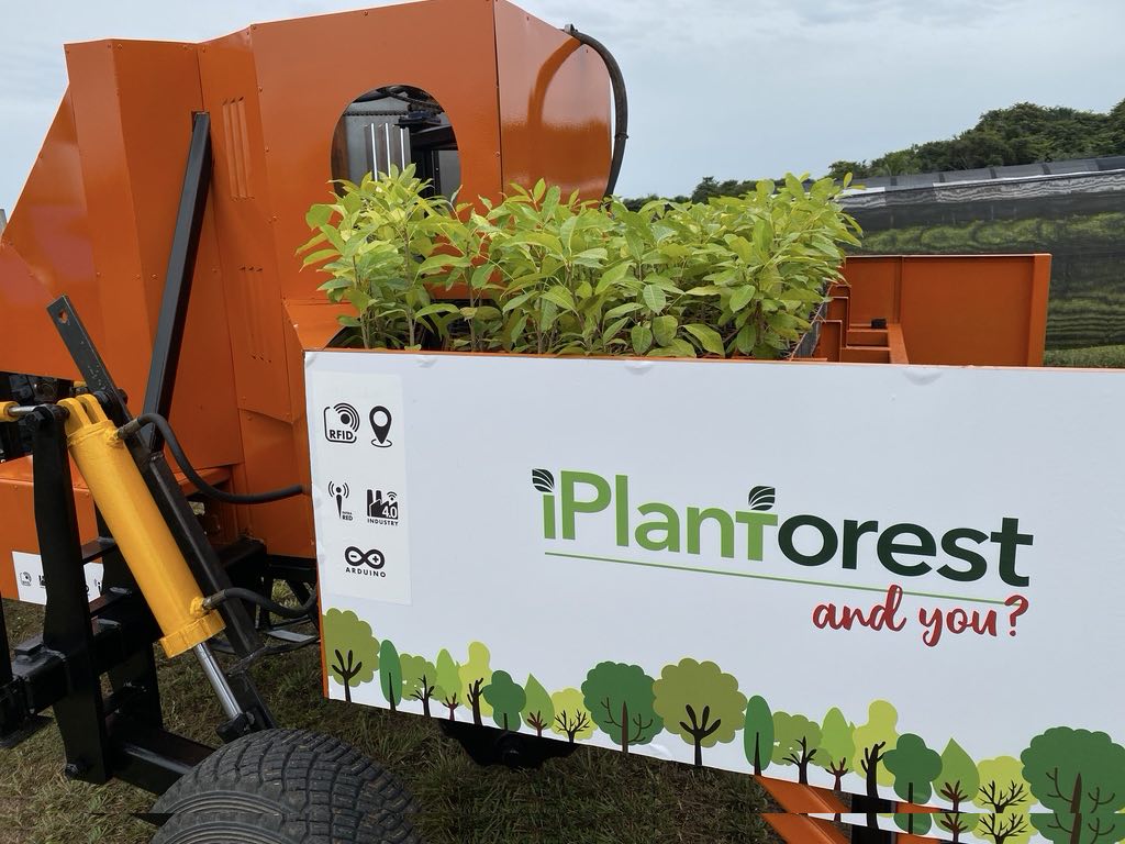 Criação do consórcio iPlantForest