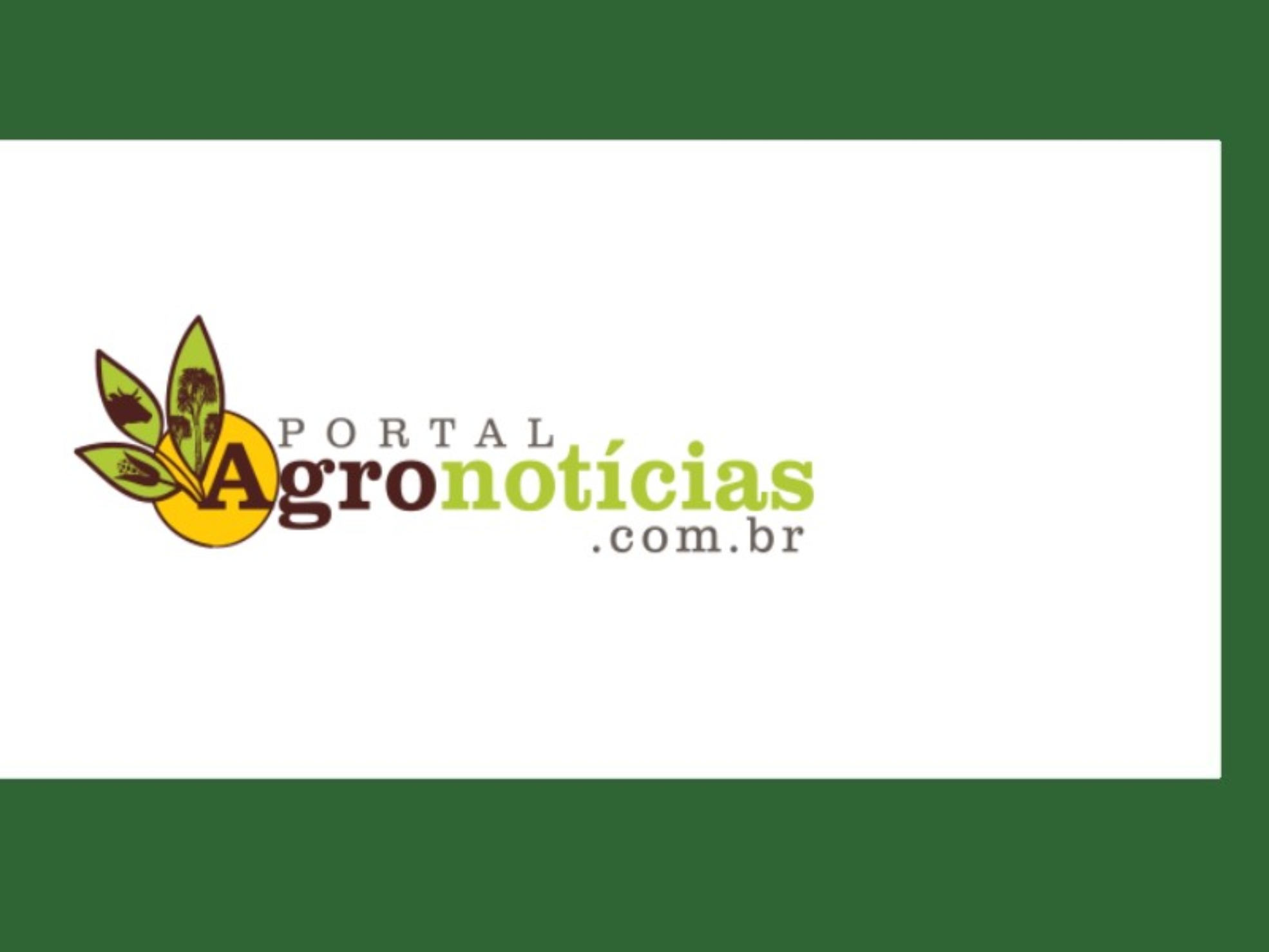 portal-agronoticias-mahogany-roraima-iplant-forest